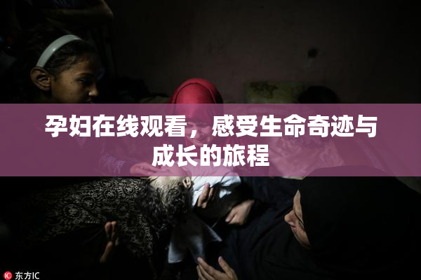 孕妇在线观看，感受生命奇迹与成长的旅程