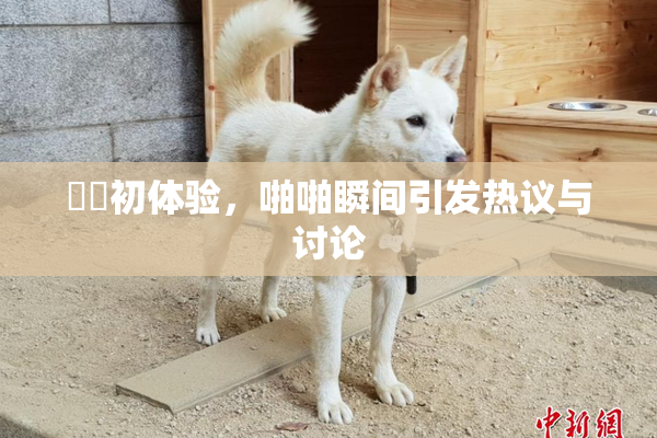 妺妺初体验，啪啪瞬间引发热议与讨论