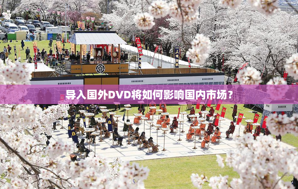 导入国外DVD将如何影响国内市场？
