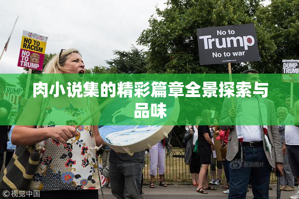 肉小说集的精彩篇章全景探索与品味