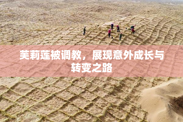 芙莉莲被调教，展现意外成长与转变之路
