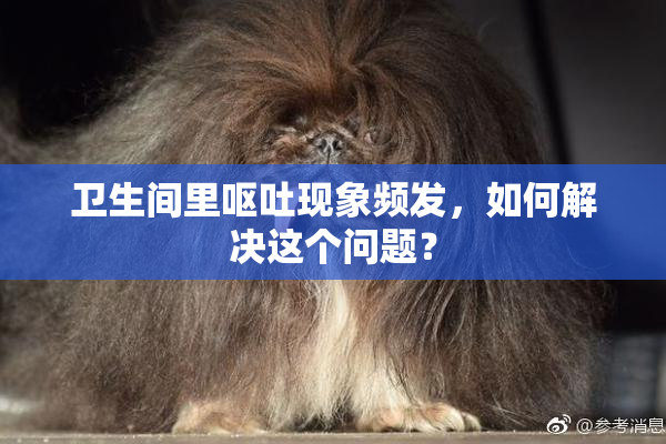 卫生间里呕吐现象频发，如何解决这个问题？