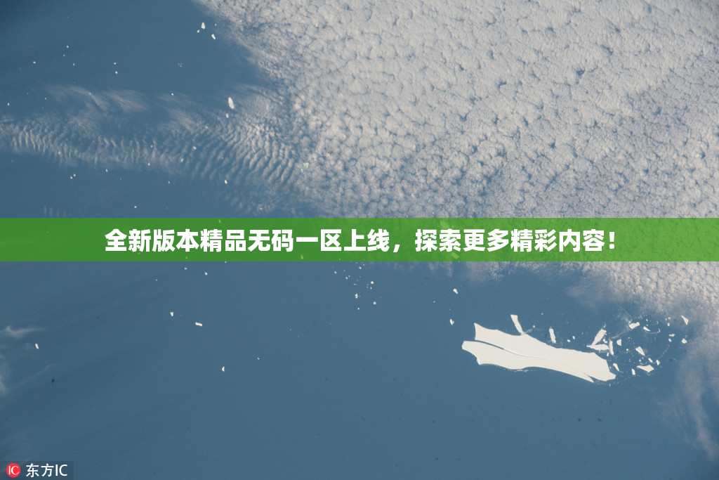 全新版本精品无码一区上线，探索更多精彩内容！