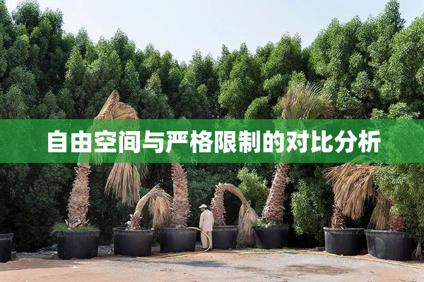自由空间与严格限制的对比分析