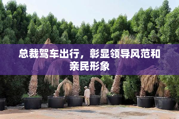 总裁驾车出行，彰显领导风范和亲民形象