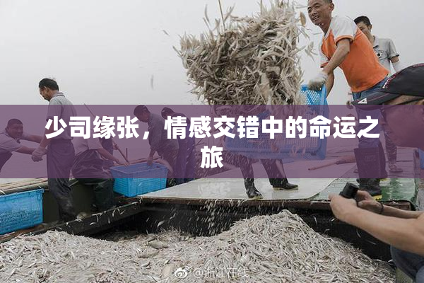 少司缘张，情感交错中的命运之旅