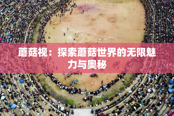 蘑菇视：探索蘑菇世界的无限魅力与奥秘