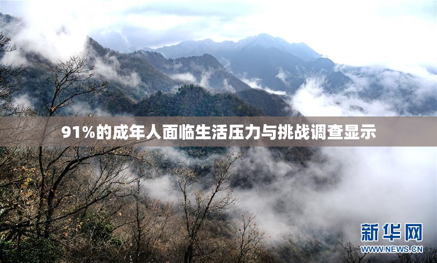 91%的成年人面临生活压力与挑战调查显示