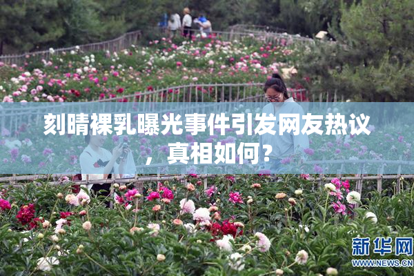 刻晴裸乳曝光事件引发网友热议，真相如何？