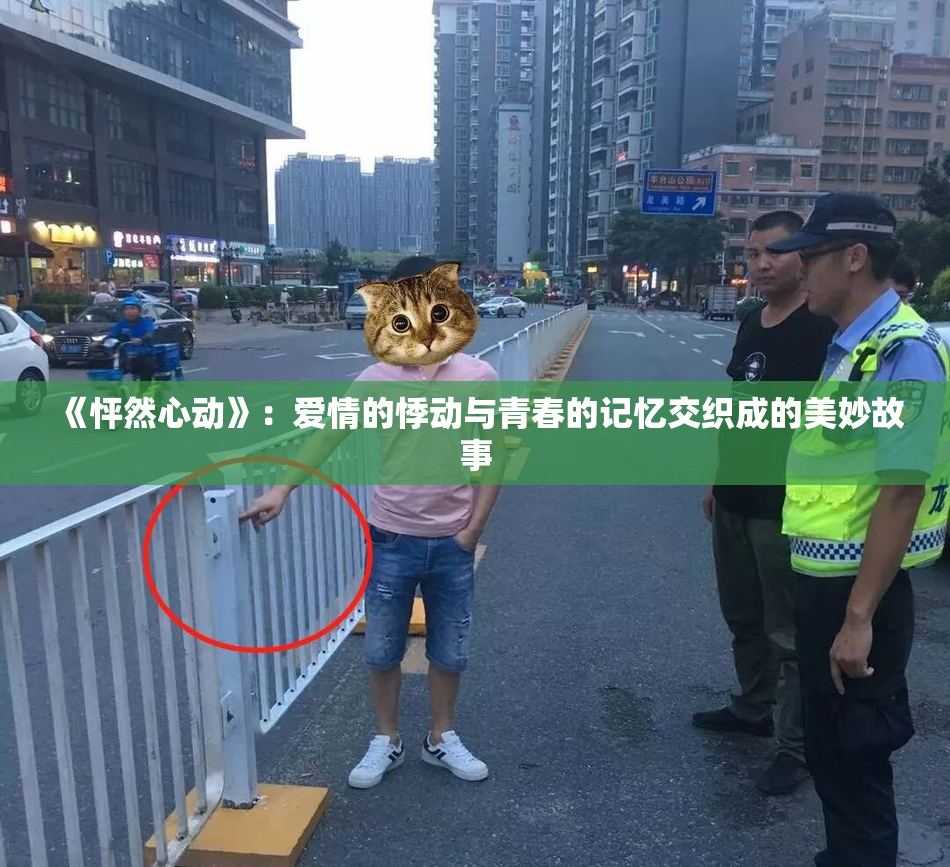 《怦然心动》：爱情的悸动与青春的记忆交织成的美妙故事