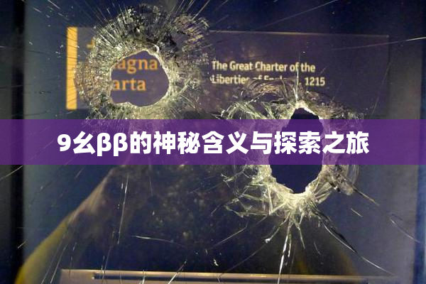 9幺ββ的神秘含义与探索之旅