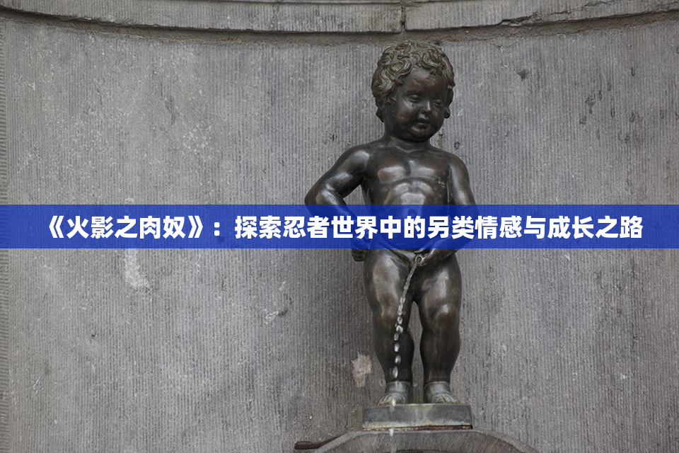 《火影之肉奴》：探索忍者世界中的另类情感与成长之路