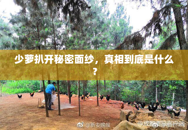 少萝扒开秘密面纱，真相到底是什么？