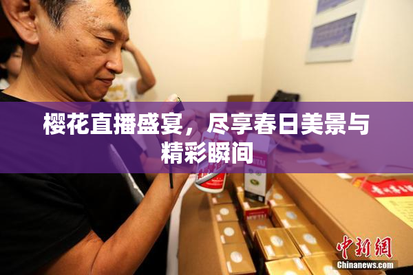 樱花直播盛宴，尽享春日美景与精彩瞬间