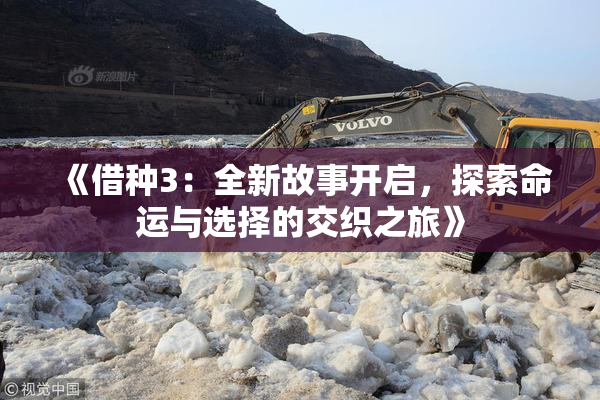 《借种3：全新故事开启，探索命运与选择的交织之旅》