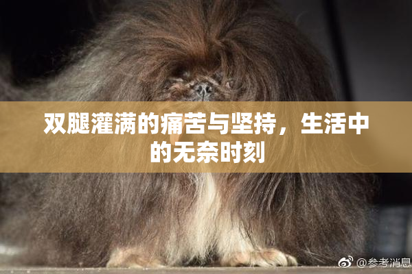 双腿灌满的痛苦与坚持，生活中的无奈时刻