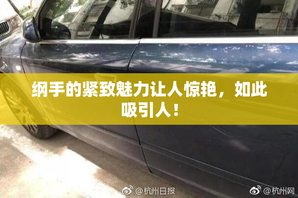 纲手的紧致魅力让人惊艳，如此吸引人！