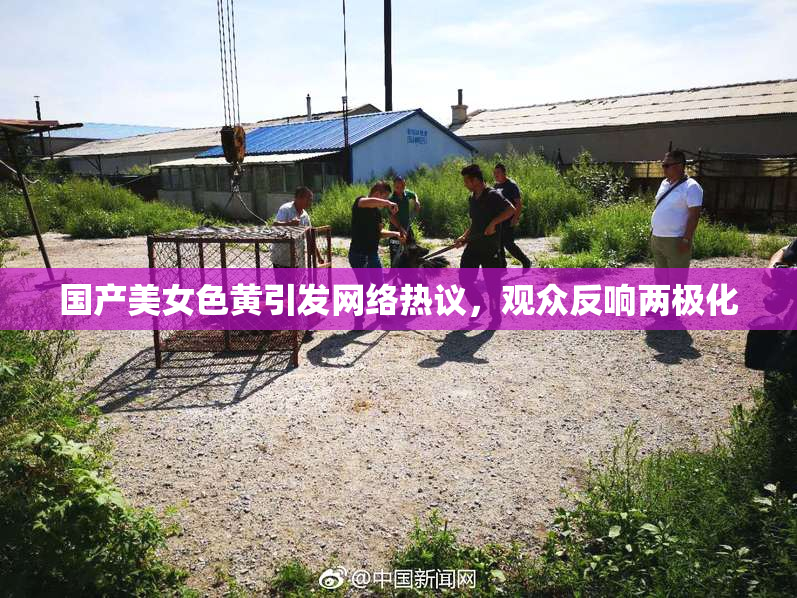 国产美女色黄引发网络热议，观众反响两极化