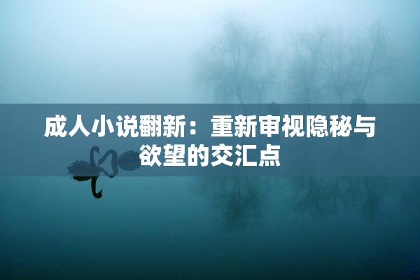 成人小说翻新：重新审视隐秘与欲望的交汇点
