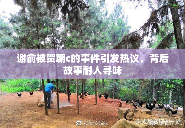 谢俞被贺朝c的事件引发热议，背后故事耐人寻味