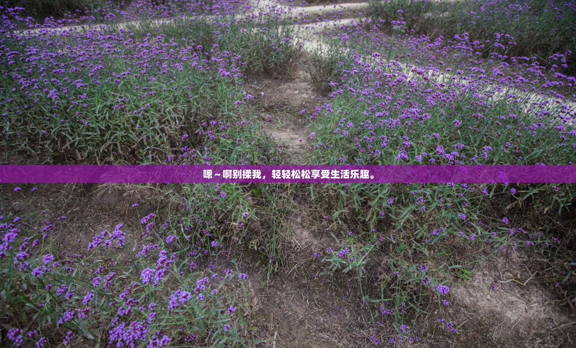 嗯～啊别揉我，轻轻松松享受生活乐趣。