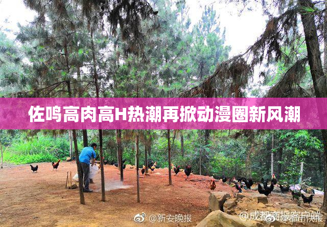 佐鸣高肉高H热潮再掀动漫圈新风潮