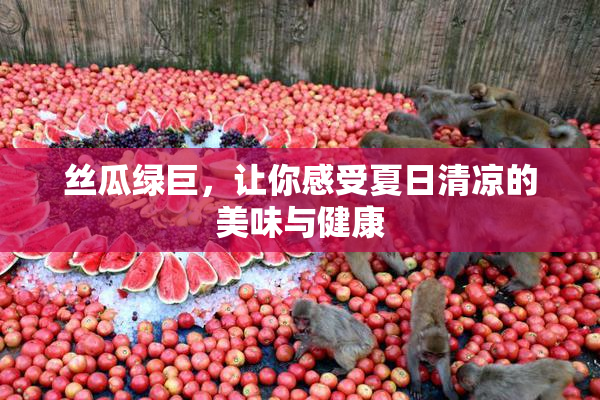 丝瓜绿巨，让你感受夏日清凉的美味与健康