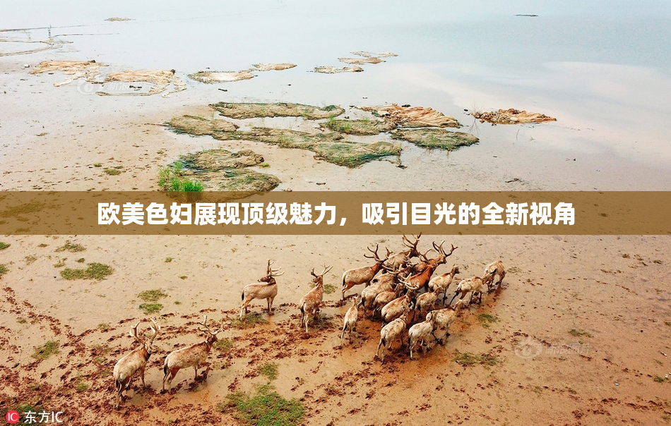 欧美色妇展现顶级魅力，吸引目光的全新视角