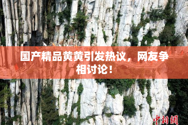 国产精品黄黄引发热议，网友争相讨论！