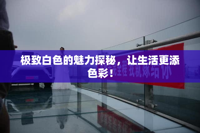 极致白色的魅力探秘，让生活更添色彩！