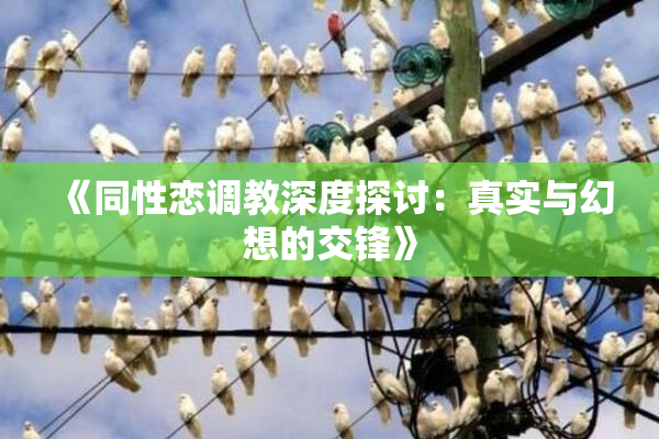 《同性恋调教深度探讨：真实与幻想的交锋》