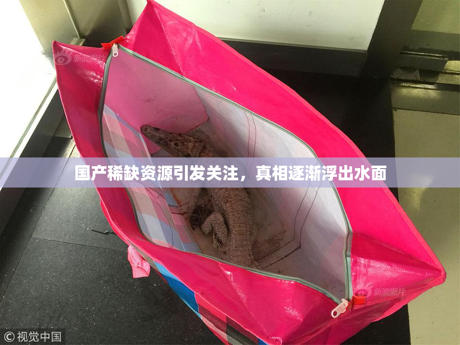国产稀缺资源引发关注，真相逐渐浮出水面