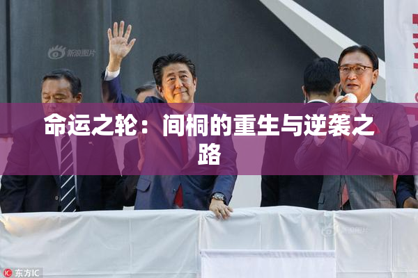 命运之轮：间桐的重生与逆袭之路