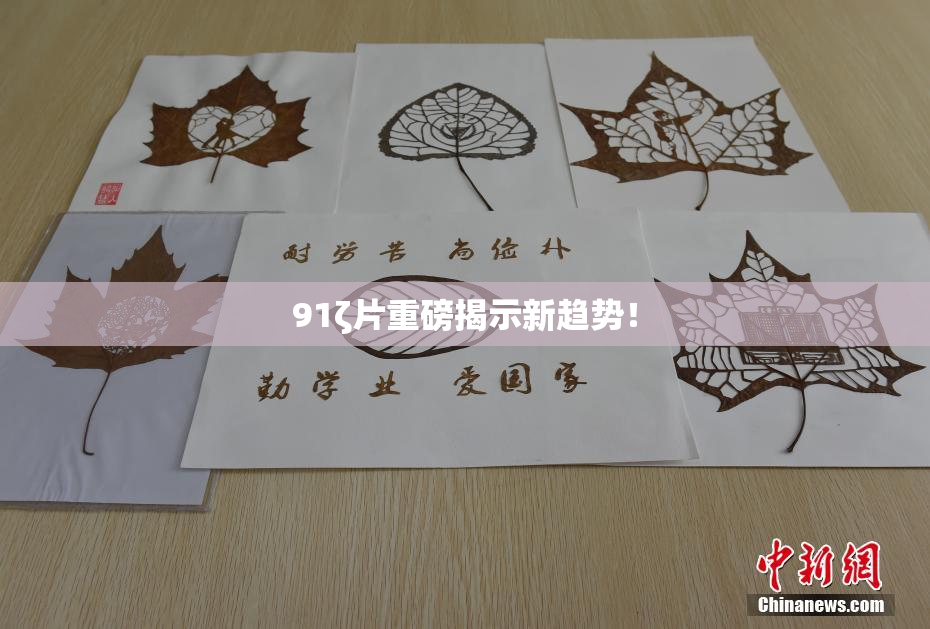 91ζ片重磅揭示新趋势！