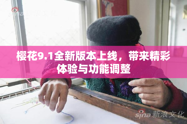 樱花9.1全新版本上线，带来精彩体验与功能调整