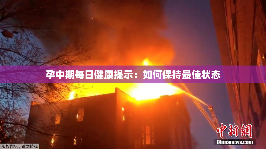 孕中期每日健康提示：如何保持最佳状态
