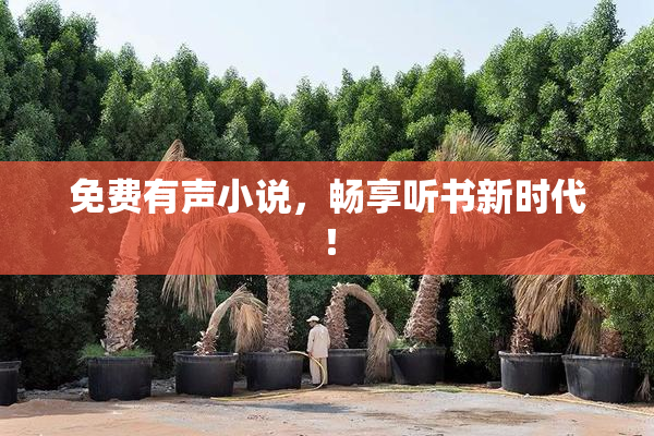 免费有声小说，畅享听书新时代！