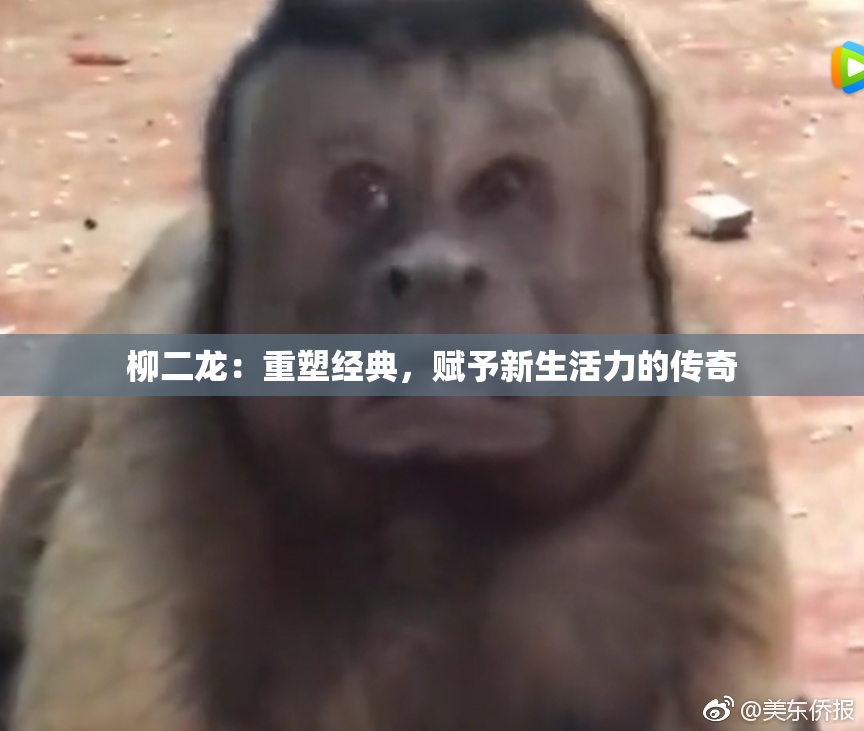 柳二龙：重塑经典，赋予新生活力的传奇