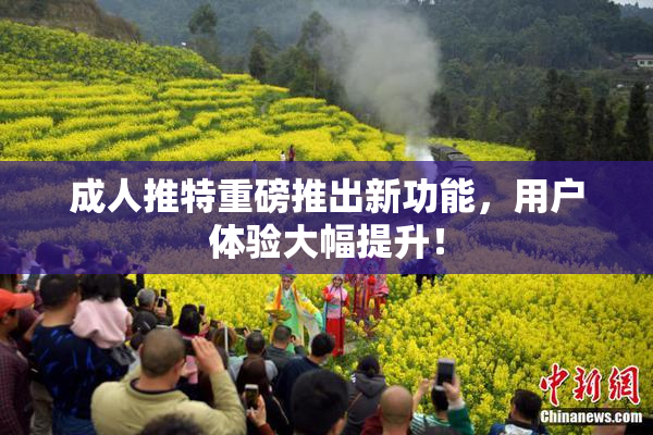 成人推特重磅推出新功能，用户体验大幅提升！