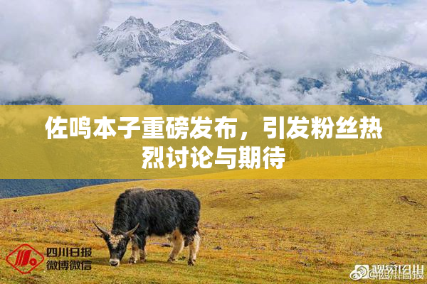 佐鸣本子重磅发布，引发粉丝热烈讨论与期待