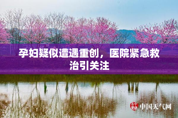 孕妇疑似遭遇重创，医院紧急救治引关注