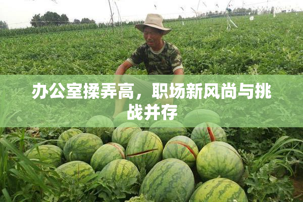 办公室揉弄高，职场新风尚与挑战并存