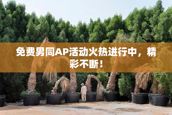 免费男同AP活动火热进行中，精彩不断！