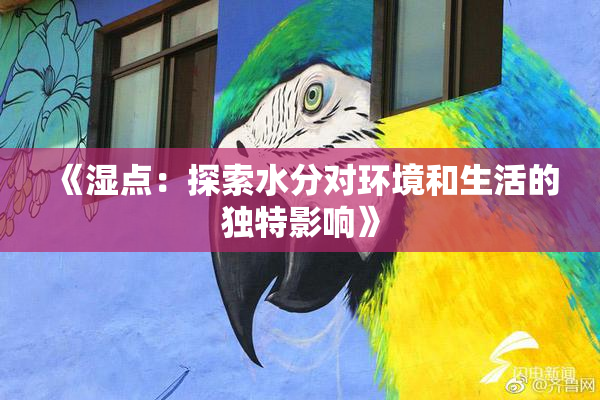 《湿点：探索水分对环境和生活的独特影响》