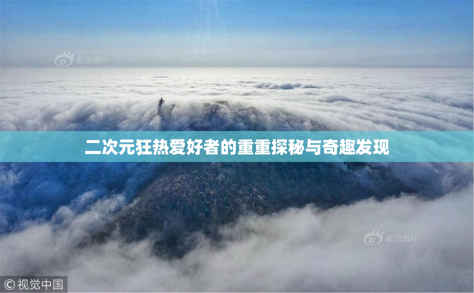二次元狂热爱好者的重重探秘与奇趣发现