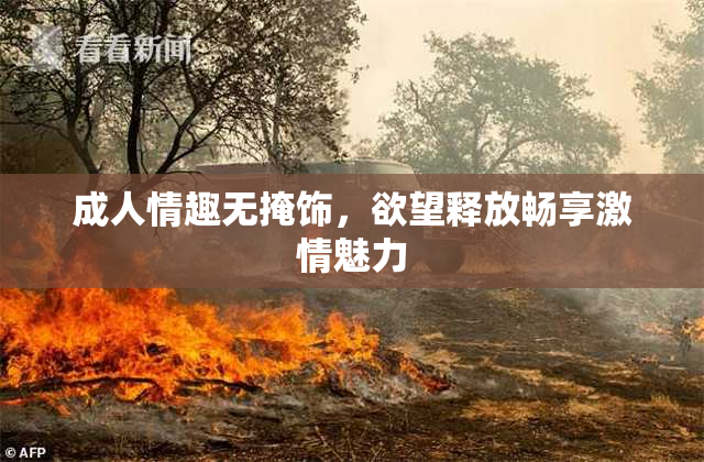 成人情趣无掩饰，欲望释放畅享激情魅力