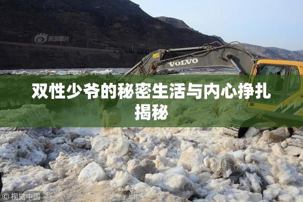 双性少爷的秘密生活与内心挣扎揭秘