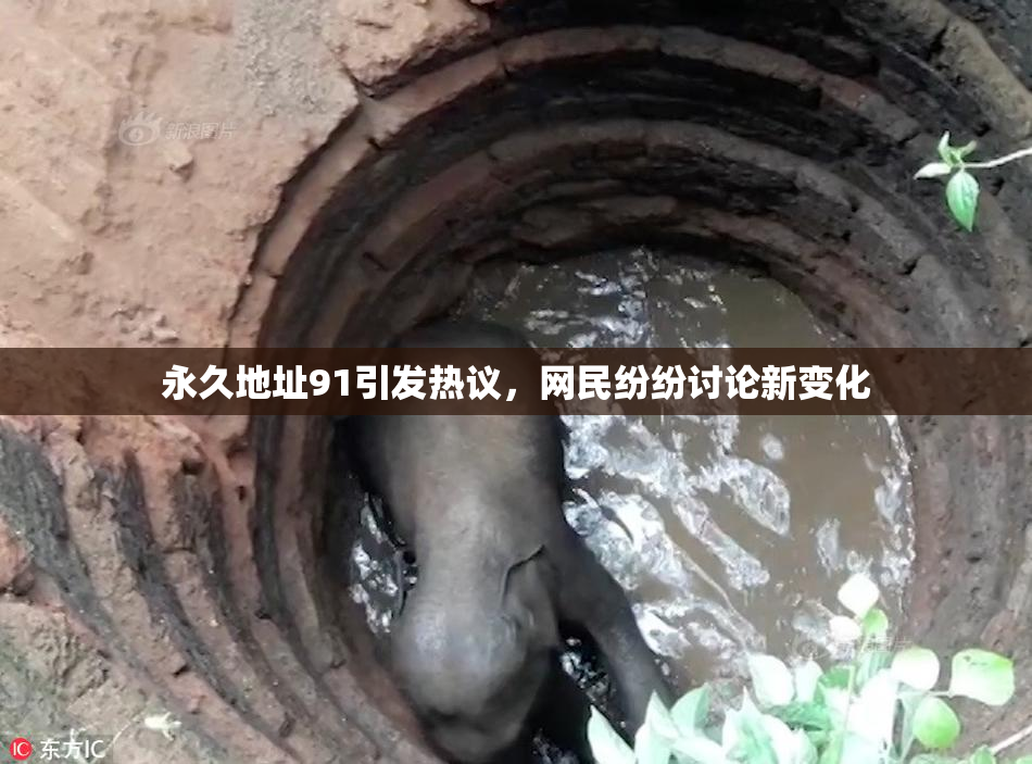 永久地址91引发热议，网民纷纷讨论新变化