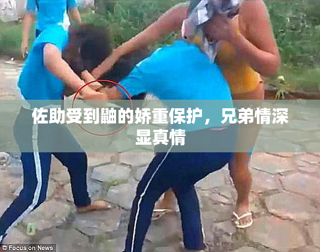 佐助受到鼬的娇重保护，兄弟情深显真情