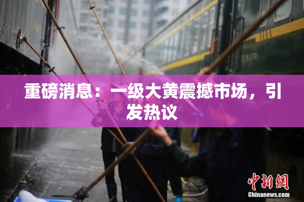 重磅消息：一级大黄震撼市场，引发热议